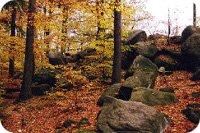 Steinerne Wand am Schwarzwihrberg