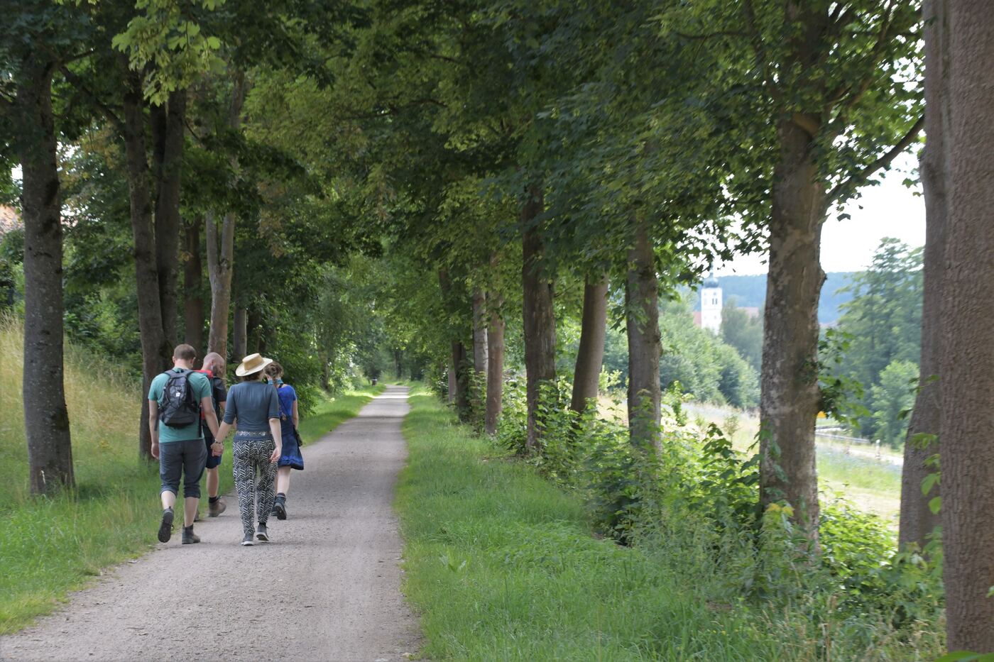 Wanderer auf einer schattigen Allee in der Umgebung des Fuchsenhofs