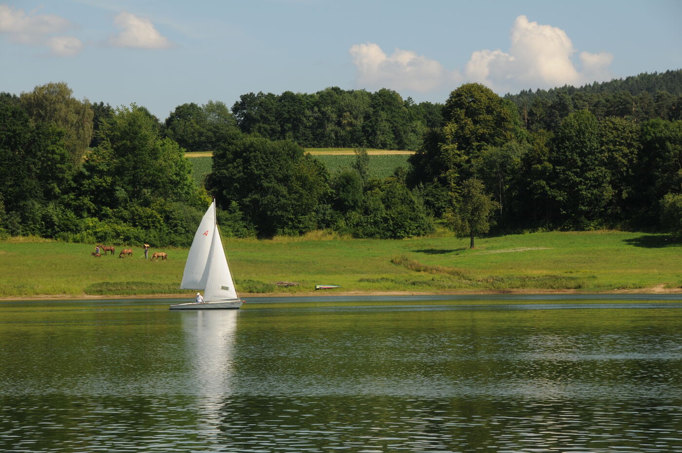 Segelboot auf dem Eixendorfer Stausee mit Pferdekoppel am Ufer