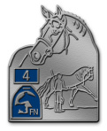 Longierabzeichen-4